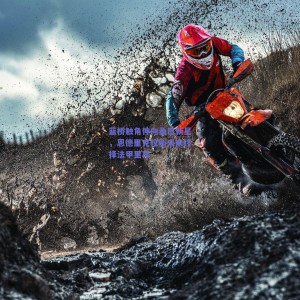 蓝桥触角伸向桑巴新星，恩德里克权衡未来终择法甲里昂