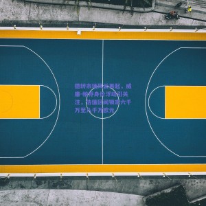 德转市场风云再起，威廉-帕乔身价浮动引关注，估值区间锁定六千万至八千万欧元