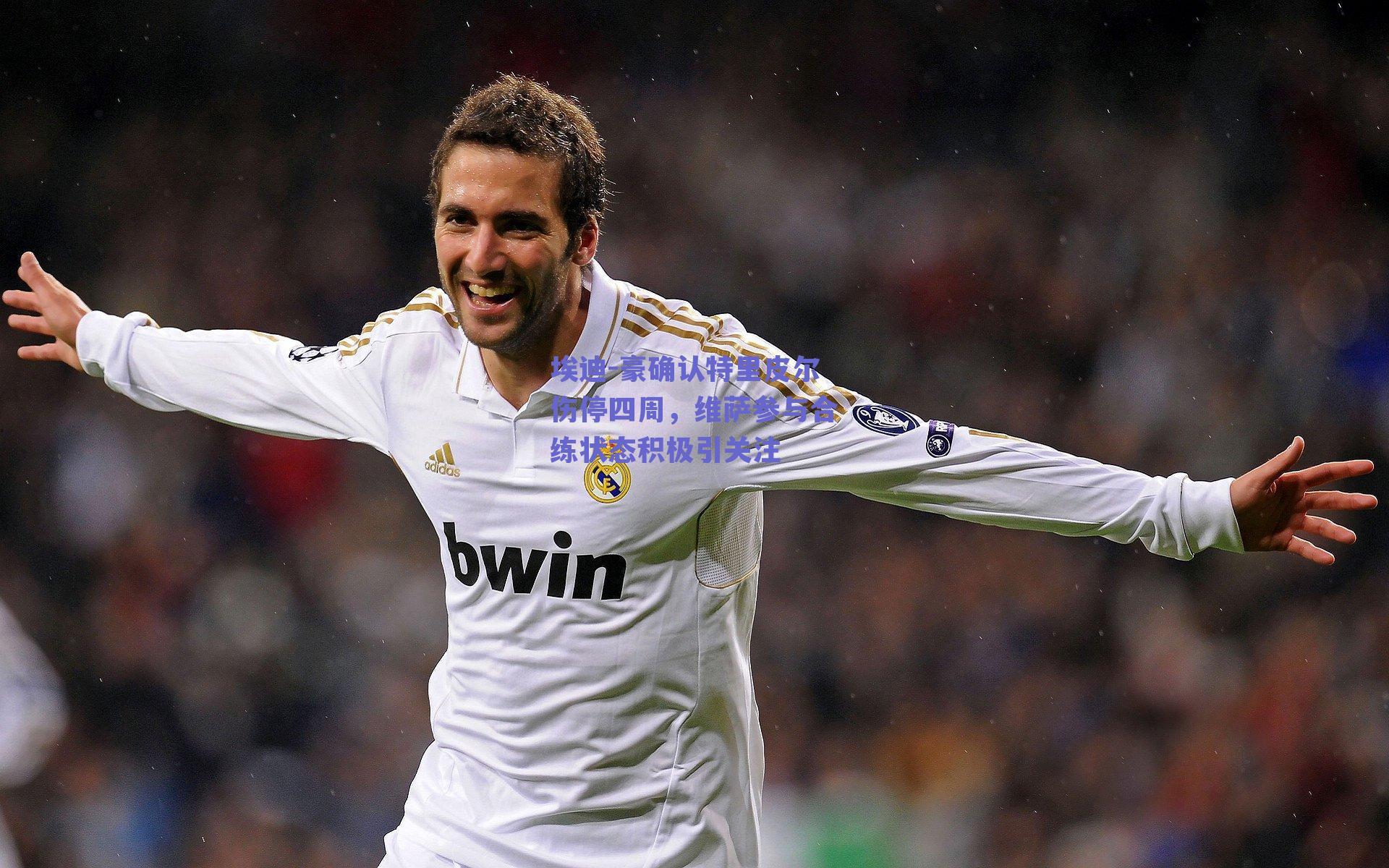 埃迪-豪确认特里皮尔伤停四周,维萨参与合练状态积极引关注